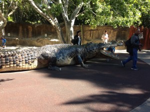 Australien Zoo-004